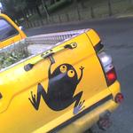A frog painted on the tail end of a pickup truck.