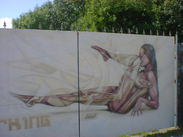 Graffiti artwork; a futuristic nude on some iron gates.