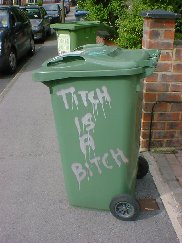Titch is a Bitch Titch is a Bitch, sprayed on the side of a wheelie bin.