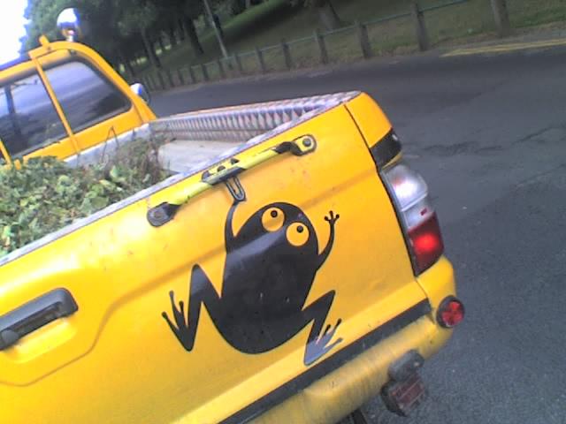 A frog painted on the tail end of a pickup truck.