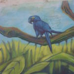 Blue Parrot