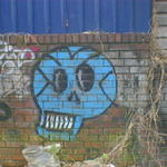 Blue Skull