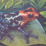 Poison Frog