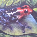 Poison Frog