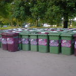 A hundred wheelie bins arranged in rows.